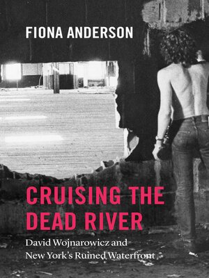 cover image of Cruising the Dead River